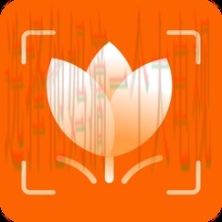 AB体育APP官网下载入口