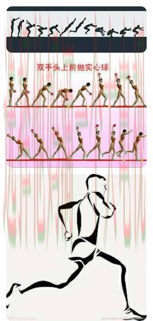 博雅体育官方链接入口解析