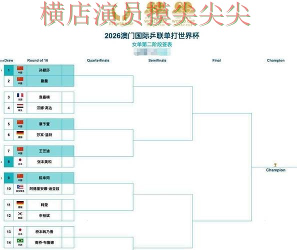 世界杯竞猜网站全面分析报告：速度测试+直播与实际体验总结 - 世界杯全球总决赛